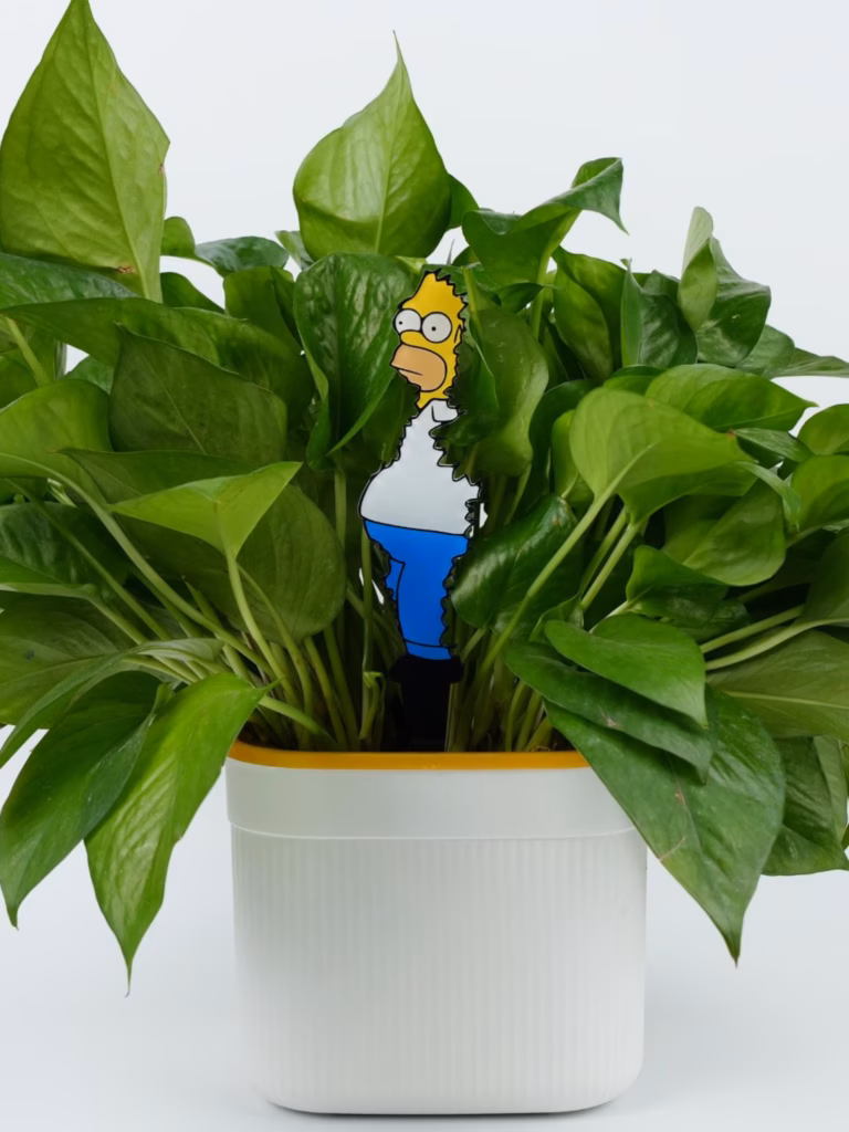 Homer Simpson Bush Meme Plant Stake