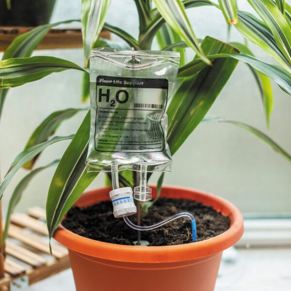 Plant Life Support IV Drip