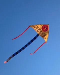 Fuck You From The Sky Kite – photo 4