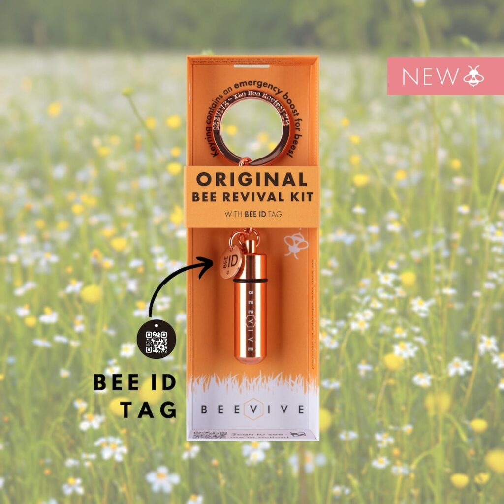 Bee Revival Kit Keyring