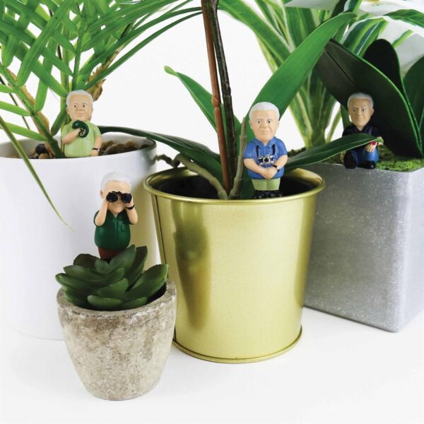 David Attenborough Plant Markers